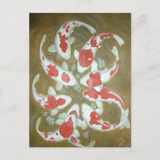 コイ魚 ポストカード (正面)