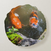 コイ魚