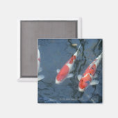 コイ鯉の池、ハイアングルビュー マグネット (正面/裏面)