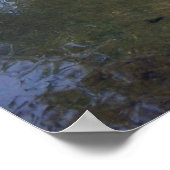 コイ鯉ポスター ポスター (角)