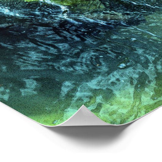 コイ鯉東京 ポスター (角)