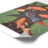 コイ鯉 ポスター (角)