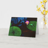 コイ カード (黄色い花)