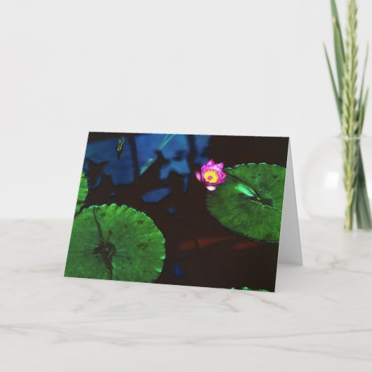 コイ カード (正面)