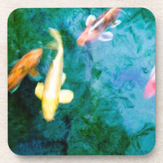 コイ コースター (正面)