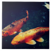 コイ タイル (正面)