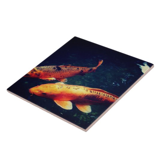 コイ タイル (側面)