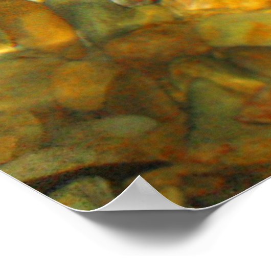 コイ ポスター (角)