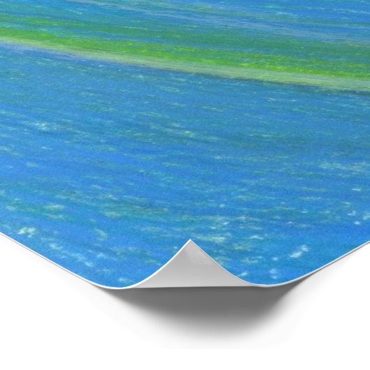 コイ ポスター (角)