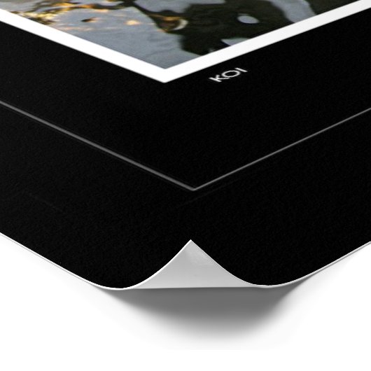 コイ ポスター (角)