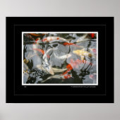 コイ ポスター (正面)