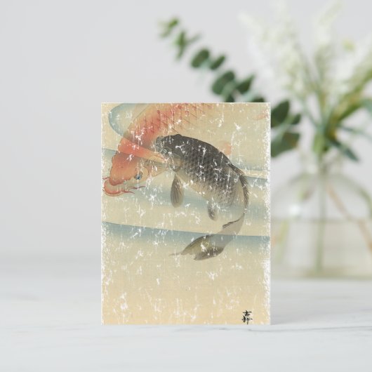 コイ ポストカード (スタンド正面)