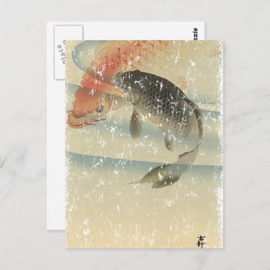 コイ ポストカード (正面/裏面)