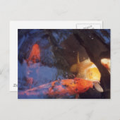 コイ ポストカード (正面/裏面)