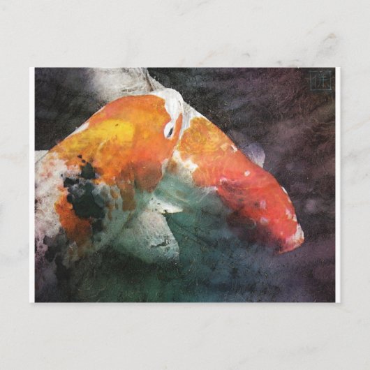 コイ ポストカード (正面)