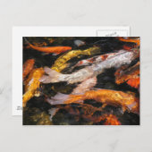 コイ ポストカード (正面/裏面)