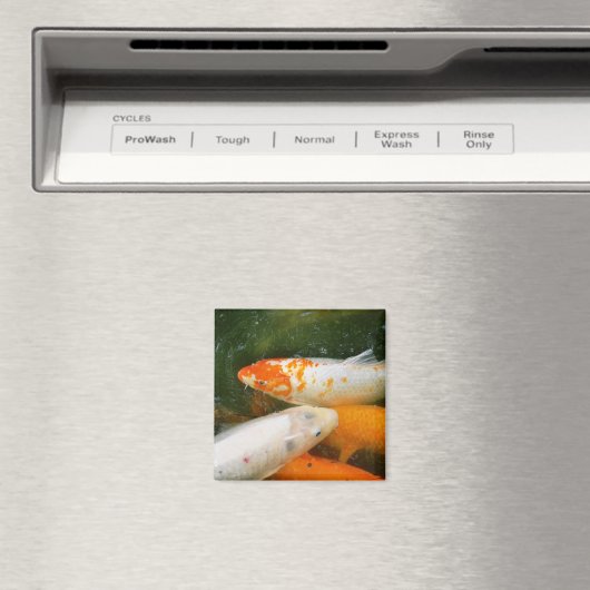 コイ マグネット (インサイチュ (食洗機))