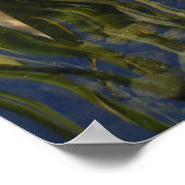 コイ（影） ポスター (角)