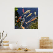 コイ（影） ポスター (キッチン)