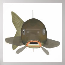 コイ – 魚の頭