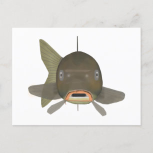 コイ – 魚の頭 ポストカード