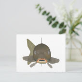 コイ – 魚の頭 ポストカード (スタンド正面)
