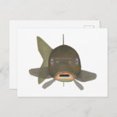 コイ – 魚の頭 ポストカード (正面/裏面)