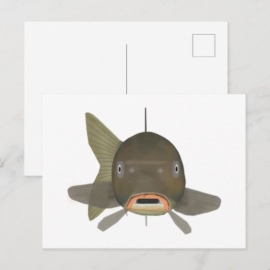 コイ – 魚の頭 ポストカード (正面/裏面)