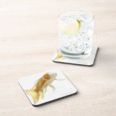 コイ(Cyprinus carpio) コースター (右側)