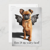 コウテイバット翼の犬 インビテーションポストカード (正面/裏面)