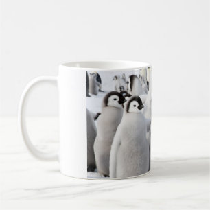 コウテイペンギンのひよこのマグ コーヒーマグカップ