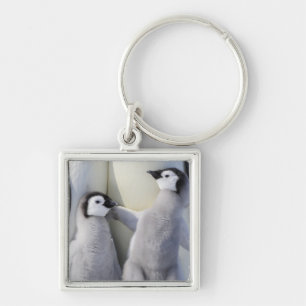 コウテイペンギンのひよこ キーホルダー