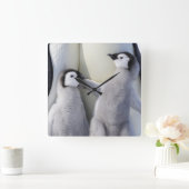コウテイペンギンのひよこ スクエア壁時計 (ホーム)