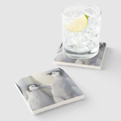 コウテイペンギンのひよこ ストーンコースター (横)