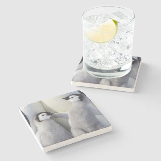 コウテイペンギンのひよこ ストーンコースター (横)