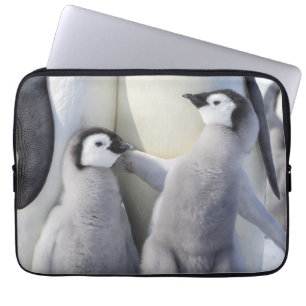 コウテイペンギンのひよこ ラップトップスリーブ