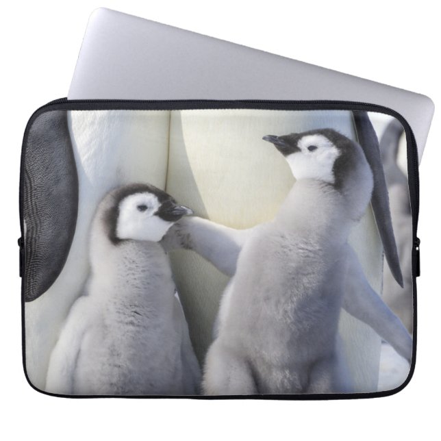 コウテイペンギンのひよこ ラップトップスリーブ (正面)
