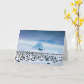 コウテイペンギンのコロニー カード (黄色い花)