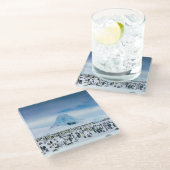 コウテイペンギンのコロニー ガラスコースター (アングル)