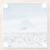 コウテイペンギンのコロニー ガラスコースター (裏面)