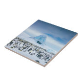 コウテイペンギンのコロニー タイル (側面)