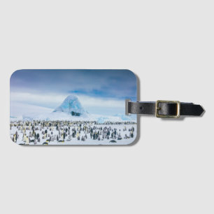 コウテイペンギンのコロニー ラゲッジタグ