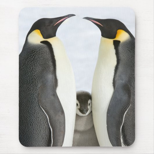 コウテイペンギンのマウスパッド マウスパッド (正面)