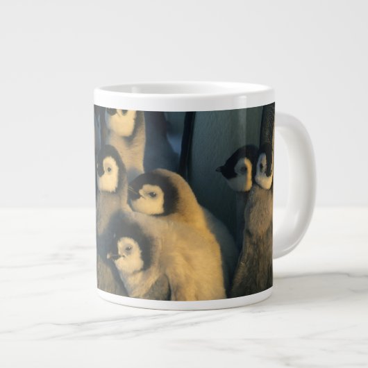 コウテイペンギンの雛 子育て集団 Aptenodytes ジャンボコーヒーマグカップ (正面右)