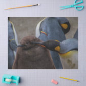 コウテイペンギンティッシュペーパー 薄葉紙 (クラフト)