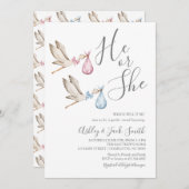 コウテイペンギン出産発表招待状 招待状 (正面/裏面)