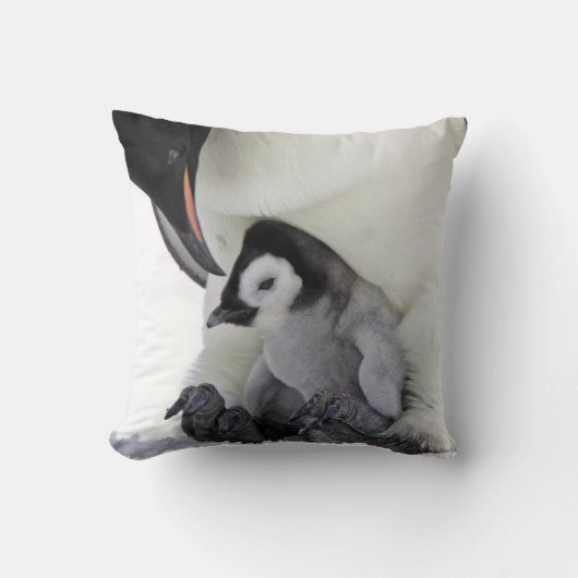 コウテイペンギン|の雪の丘の島 クッション (正面)