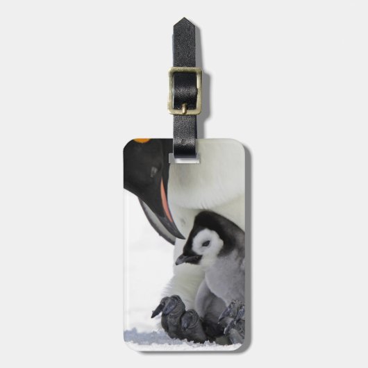 コウテイペンギン|の雪の丘の島 ラゲッジタグ (正面縦)
