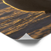 コウテイペンギン、アプテノディテス・フォルステリ)、2 ポスター (角)