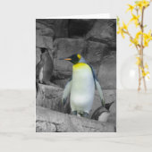 コウテイペンギン カード (黄色い花)